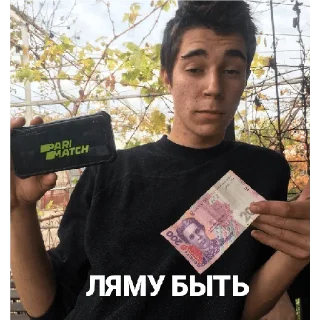 Sticker Сучівка 🦆💕 - 8