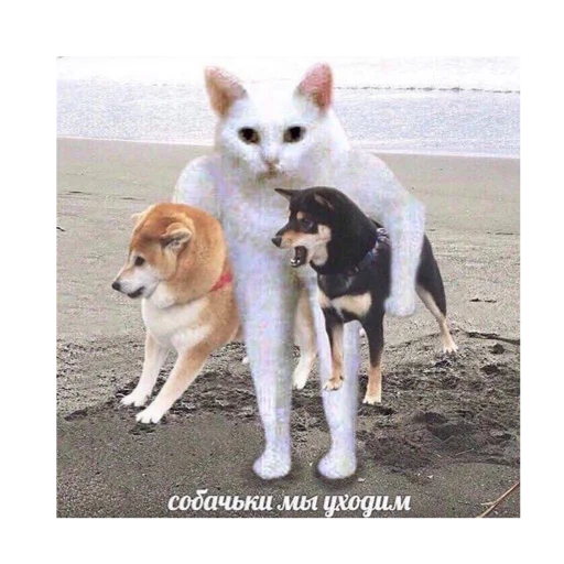 Sticker vkook не для камер😚✌🏼 - 3