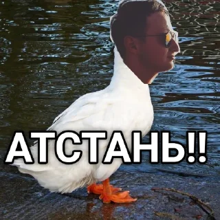 Sticker сугубо BASS - 4