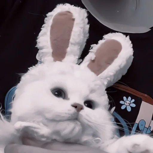 bunny mammal rabbits and hares