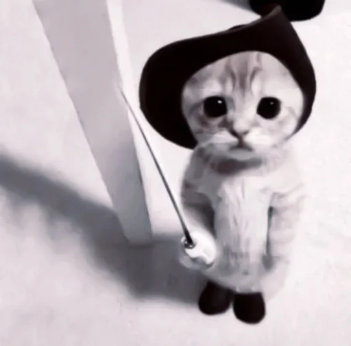 animal mammal small to medium-sized cats