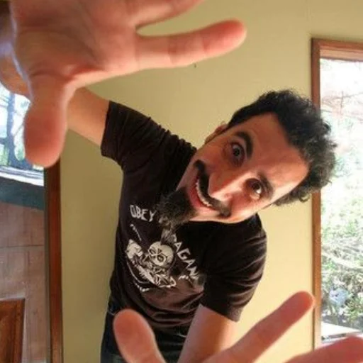 Sticker system_of_a_downnnnnnn - 1