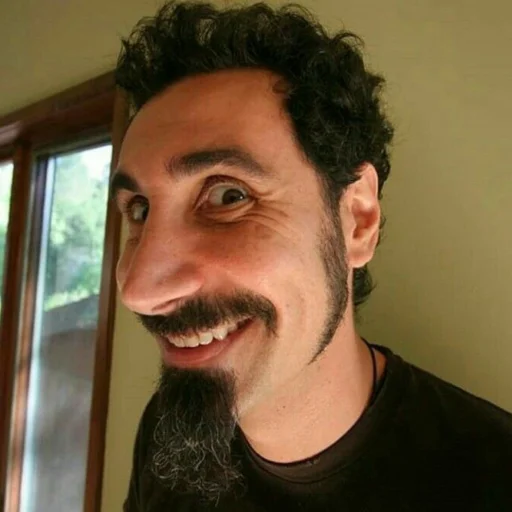 Sticker system_of_a_downnnnnnn - 1