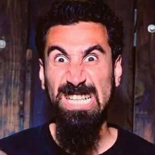 Sticker system_of_a_downnnnnnn - 1