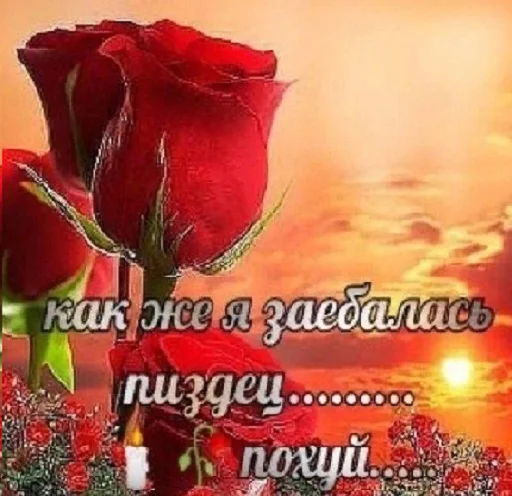 Sticker sysyadayana - 1