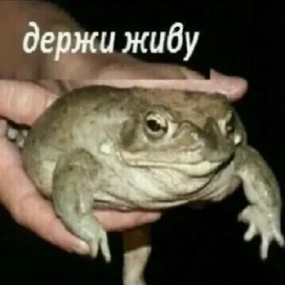 Sticker Авансы не вносить V2 - 6