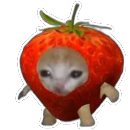 Котики) (@emopix) - 