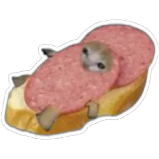 Стикер Котики) (@emopix) - 2