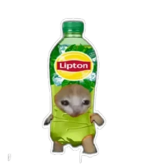 Стикер Котики) (@emopix) - 1