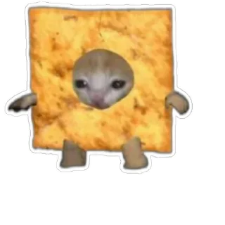 Стикер Котики) (@emopix) - 3