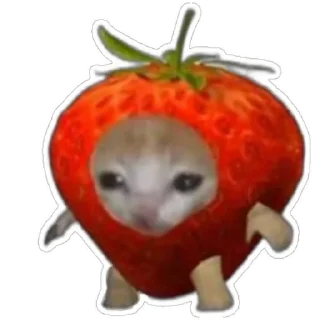 Стикер Котики) (@emopix) - 6