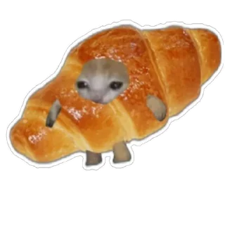 Стикер Котики) (@emopix) - 9