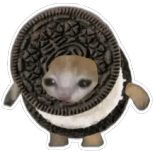 Стикер Котики) (@emopix) - 8