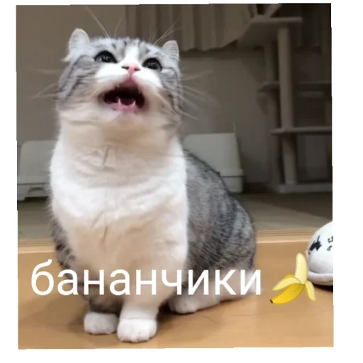 Стикер t12f08388_f73b_40c0_9fed_baa8ffccb1a7_by_emopix_stickerz_bot - 1