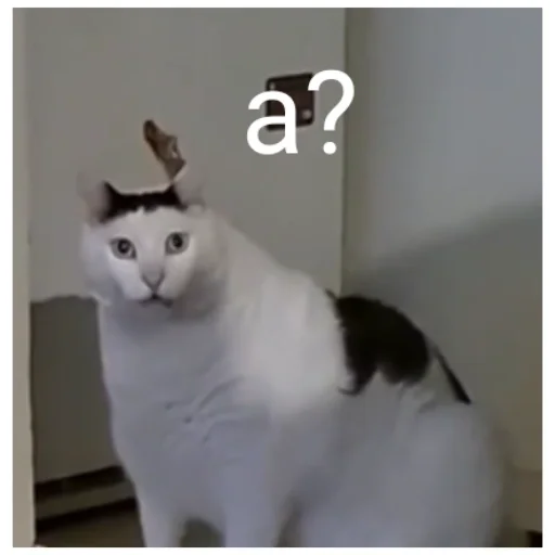 Sticker t12f08388_f73b_40c0_9fed_baa8ffccb1a7_by_emopix_stickerz_bot - 1