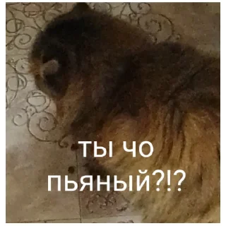 Sticker мемасики от амы (@emopix) - 9