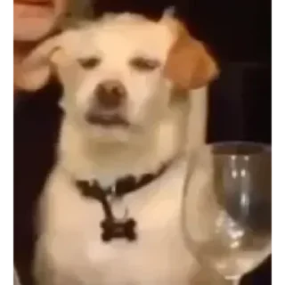 Sticker 🎬 Gif - 9