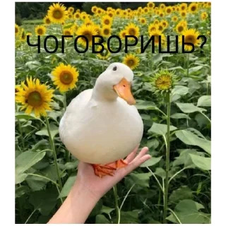 Sticker ааааааа (@emopix) - 6