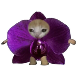 Sticker UwU (@emopix) - 11