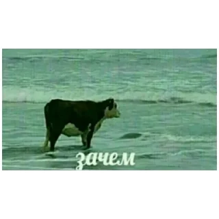 Стикер Что-то (@emopix) - 8