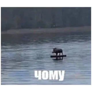 Стикер Что-то (@emopix) - 3