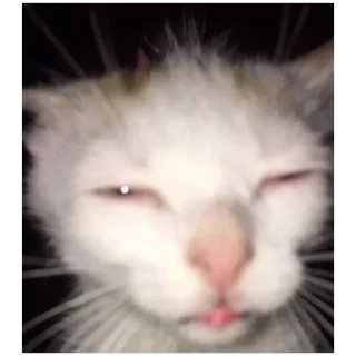 Стикер Что-то (@emopix) - 6