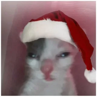 Стикер НГ HAPPY CAT  (@emopix) - 10