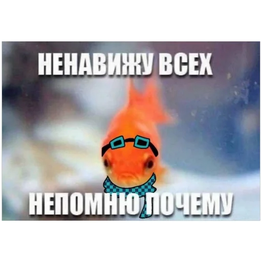 Sticker t5c828cae_6fb6_40a2_a69c_4255f6c171e2_by_emopix_stickerz_bot - 1