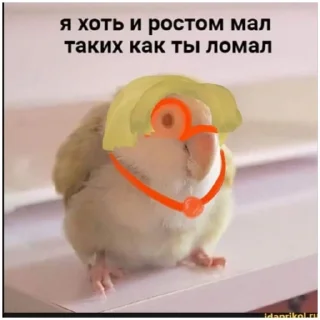 Sticker Лололошка  (@emopix) - 10