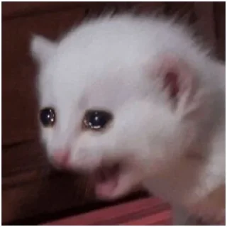 Sticker cat vibes (@emopix) - 5