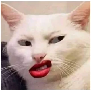 Sticker cat vibes (@emopix) - 0