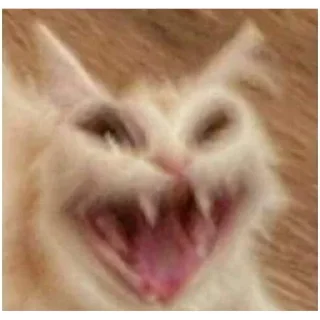 Sticker cat vibes (@emopix) - 1