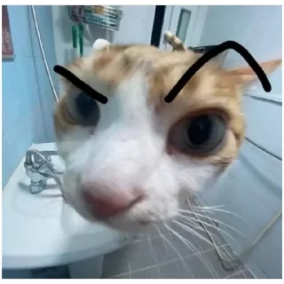 Sticker cat vibes (@emopix) - 9