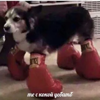 Sticker Ты кринж (@emopix) - 7