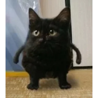 Стикер random (@emopix) - 2