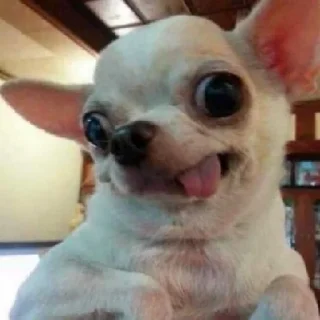 Стикер random (@emopix) - 1