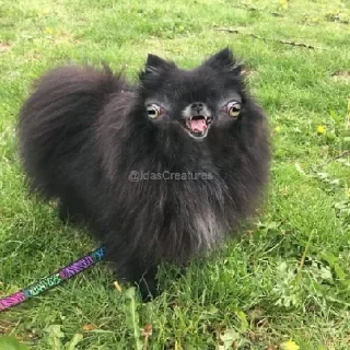 Стикер random (@emopix) - 4