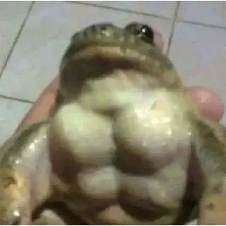 Стикер random (@emopix) - 9