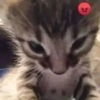 Sticker abc (@emopix) - 8