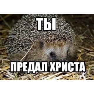 Стикер няшная жесть - 5