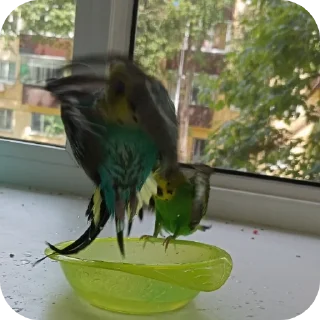 Sticker Кеша-Тоша-Вольт_Kesha-Tosha-Volt (@emopix) - 4