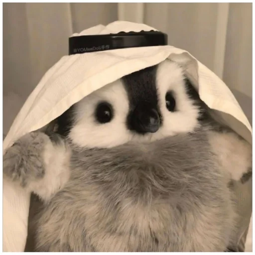 Пингвиня:3 (@emopix) - 