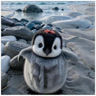 Sticker Пингвиня:3 (@emopix) - 3