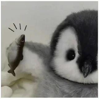 Sticker Пингвиня:3 (@emopix) - 11