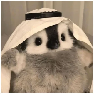 Sticker Пингвиня:3 (@emopix) - 5