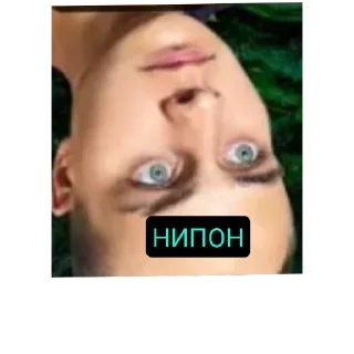 Sticker Димон и Пумба "стикеры" - 7