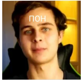 Sticker Димон и Пумба "стикеры" - 11