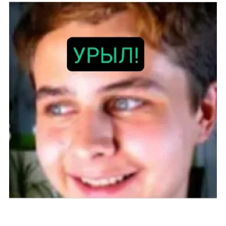 Sticker Димон и Пумба "стикеры" - 9