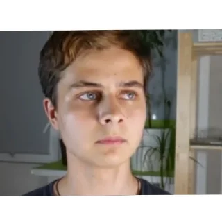 Sticker Димон и Пумба "стикеры" - 4