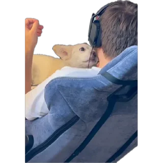 Стикер Тявка - 10